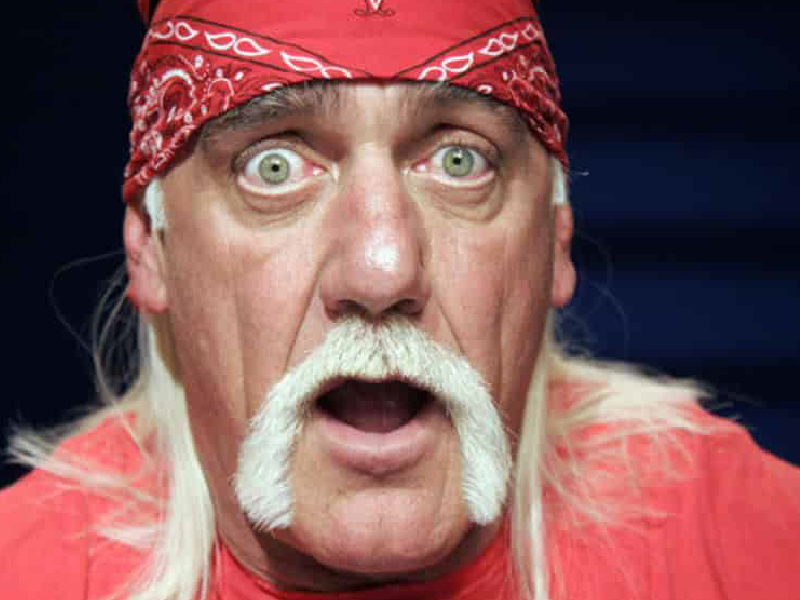 Hulk hogan bidoge motard